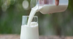 Benefits of Cow Milk