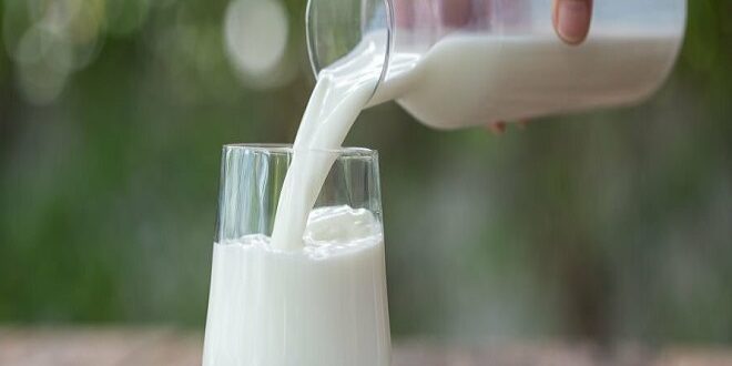 Benefits of Cow Milk